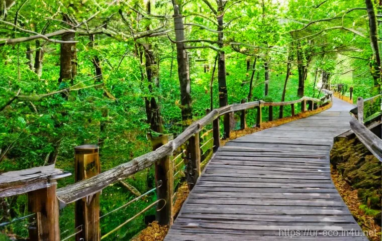 생태계 복원 사례 - Here are three detailed image generation prompts in English, adhering to all specified guidelines: