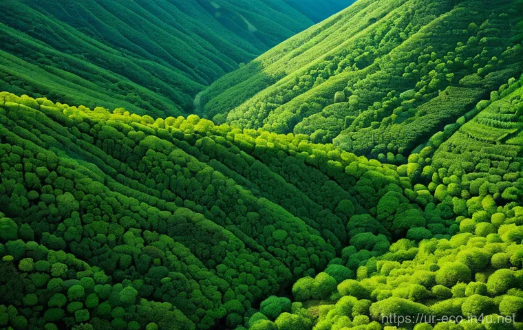 생태계 복원 사례 - ### Image Prompt 1: The Resurgence of Green Forests in Pakistan