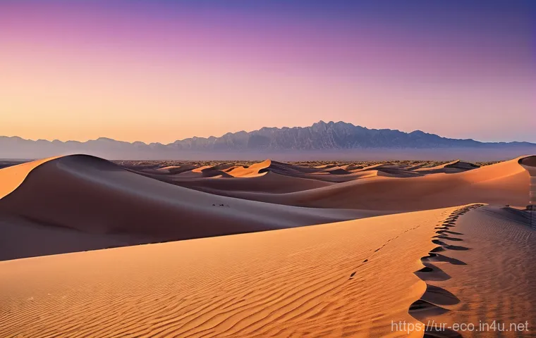 생물군계 특징 - **A majestic and vibrant tropical rainforest.** The image captures a dense canopy of towering trees,...