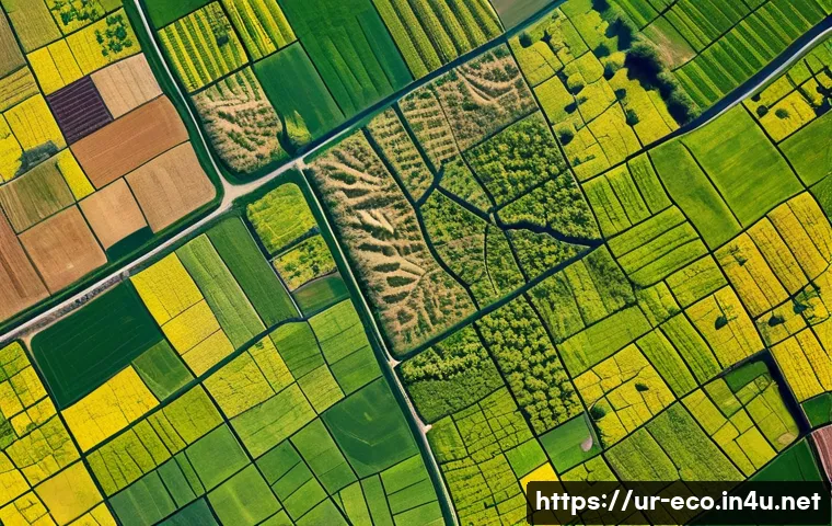 위성 데이터 활용 - A detailed satellite view of diverse agricultural fields in rural Pakistan during early spring, show...