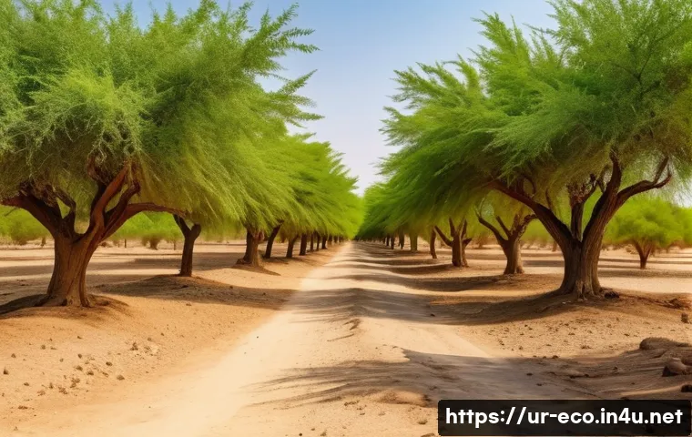 산림 탄소흡수원 관련 이미지 1